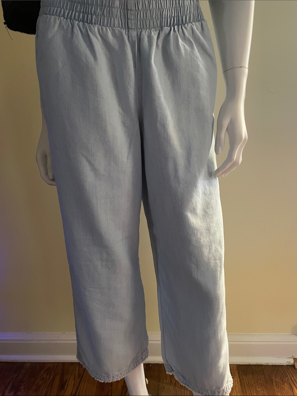 J.Jill Denim Pants